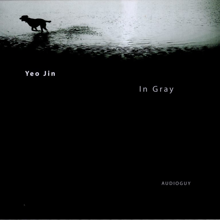 In Gray – 여진 (Audioguy 2006)