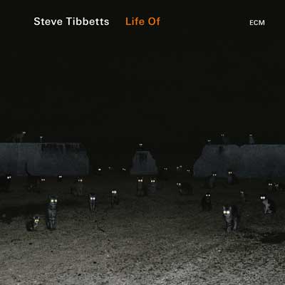 Life Of – Steve Tibbetts (ECM 2018)